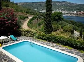 Charming Villa with Private Pool in Lamego