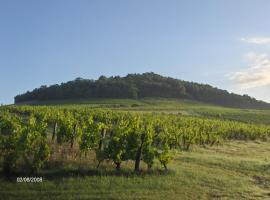 Viesnīca, kas piemērota cilvēkiem ar invaliditāti La maison du vigneron pilsētā Ternand