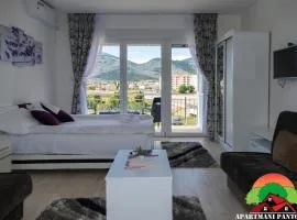 Apartmani Pantovic - Apartman 2