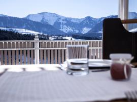 Haus "Bergblick" Ferienwohnung Hochgrat Oberstaufen mit 2 Schlafzimmer，位于上施陶芬的酒店