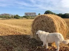 Agriturismo La Palascìa Masseria Agreste