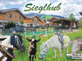 Sieglhub Chalets - Appartements - Hotel, hotel din Flachau