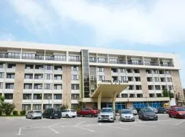 Hotel Dacia Sud