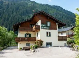 Ferienhäuser Mayrhofen