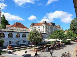 Petkovšek Rooms and Apartments, bed and breakfast a Ljubljana