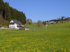 Gasthaus Pension Donishäusle, хотел в Титизее-Нойщат