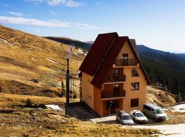 Cabana Andreea Telescaun, Hotel in Ranca