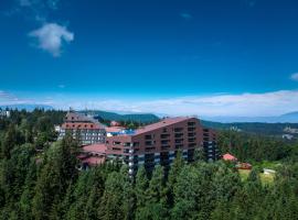 Poiana Brasov Alpin Resort Apartment โรงแรมในโปยานาบราซอฟ