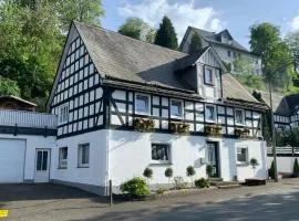 Ferienhaus Sauerland-Träume