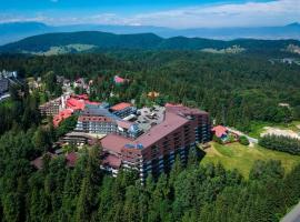 Poiana Brasov Alpin Executive Apartment, hotel in Poiana Brasov