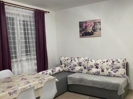 5 Residence Apartment, hótel í Cavnic