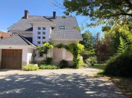 La Maison de la Douce Heure, 4 appartements climatisés avec jardin au centre ville proche des Thermes