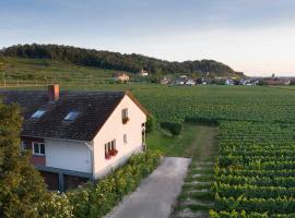 Winzerhof Henkenberg, hotel di Niederrotweil