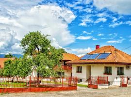 Pensiunea Mariana, hotel em Ocna Şugatag