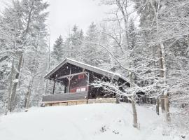 Blockhaus Bodefall, hotel v mestu Braunlage