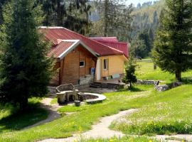 Vila IZVORUL MINUNILOR, καταφύγιο σε Stana de Vale