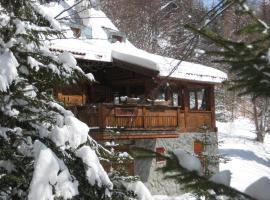 Guesthouse Šejn, готель у місті Копаоник