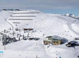 Mountainlovers Berghotel SeidlAlm, hotelli Saalbachissa