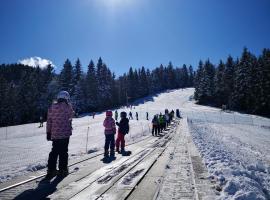 Apartmajsko naselje Ribniško Pohorje, apartma v Ribnici na Pohorju