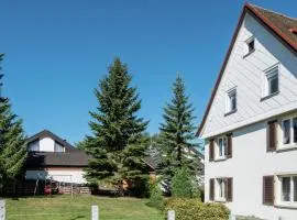 Apartment in the Black Forest with terrace