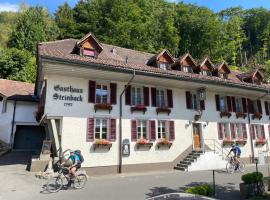 Historic Hotel Steinbock, hotel v mestu Wilderswil