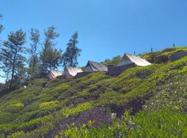 Janardan Tea Campsite Ooty, מלון באוטי