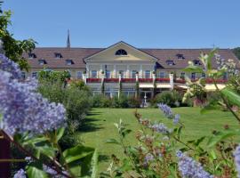 Kurpark-Hotel, hotel v destinaci Bad Dürkheim