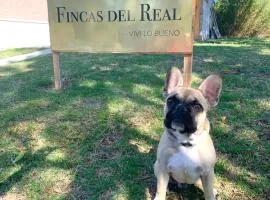 Fincas del Real