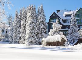 BERG & SPA HOTEL GABELBACH, hotell sihtkohas Ilmenau