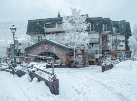 Hotel Llop Gris, khách sạn ở El Tarter