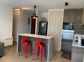 Arriendo departamento excelente ubicación por día