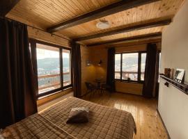 AGORA Chalet, hotel en Slavske