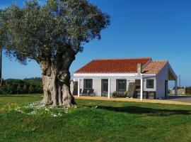 Kuanza Farmhouse and Lodge, smještaj na farmi u gradu 'Zambujeira do Mar'