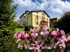 Алексік, hotel in Truskavets