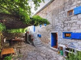 450 year-old house with a garden