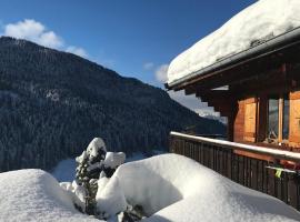 La marmotte qui papote, hotel que acepta mascotas en Le Grand-Bornand