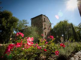 Mulino in Chianti, overnattingssted med kjøkken i Gaiole in Chianti