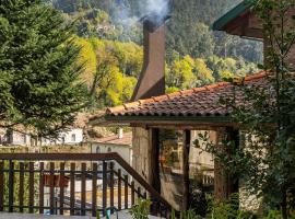 Hotel Carvalho Araujo, hotel en Gerês