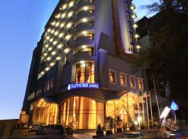 Sapphire Addis, hotel u gradu 'Addis Ababa'