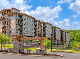 Camelback Resort, hotel in Tannersville