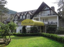 Park Hotel am Schloss, hotel en Ettringen