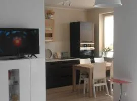 Wyśmienity Apartament Miodowy