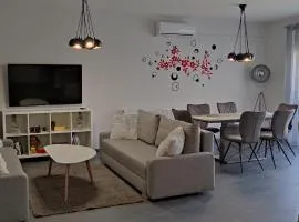 IKON apartman