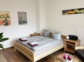 Ferien-und Gästewohnung Radebeul