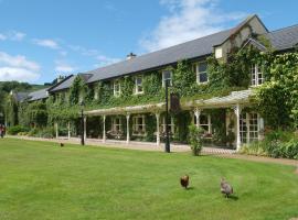 BrookLodge & Macreddin Village, hotel v mestu Aughrim