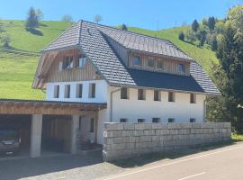 Ferienwohnung Natururlaub Muggenbrunn, hótel í Todtnau