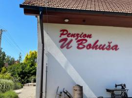 Penzion U Bohuša、レドニツェのホテル