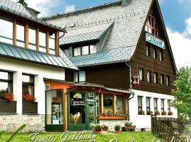 Ferienhotel Mühlleithen, hotel a Klingenthal