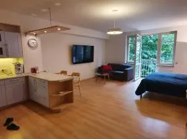 Apartmán 46m2 s balkonem v lázeňském centru