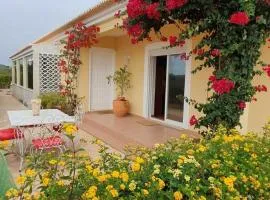 Seaside Studio in Sagres 38 sqm with Terrace and Garden